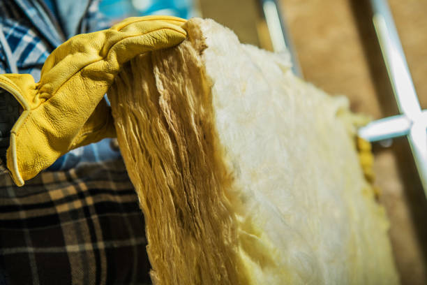 Best Insulation Removal  in New Bedford, PA